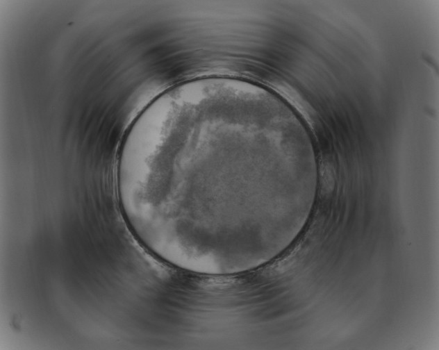 X0000091201290200709061406