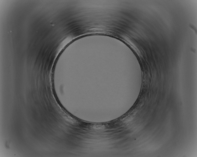 X0000091201291200709061406
