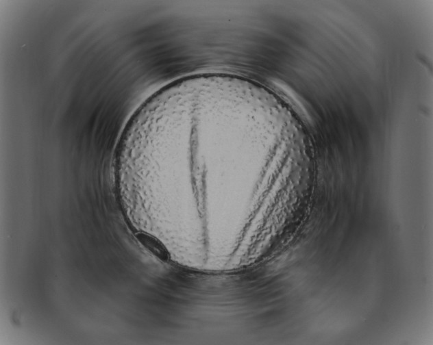 X0000091201292200709061406