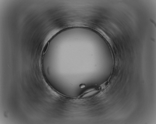 X0000091201293200709061406