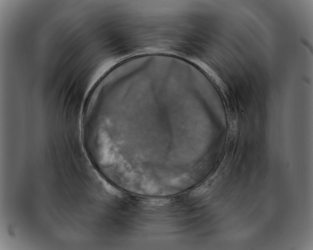 X0000091201294200709061406