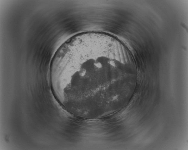 X0000091201295200709061406