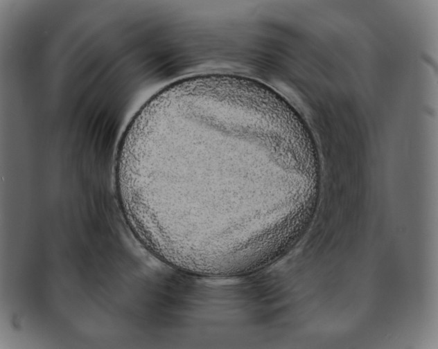 X0000091201296200709061406