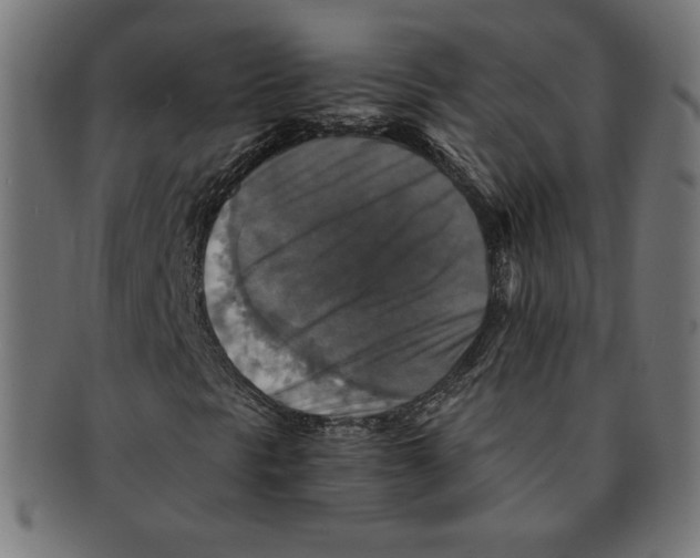 X0000091201297200709061405