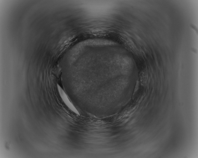 X0000091201298200709061405
