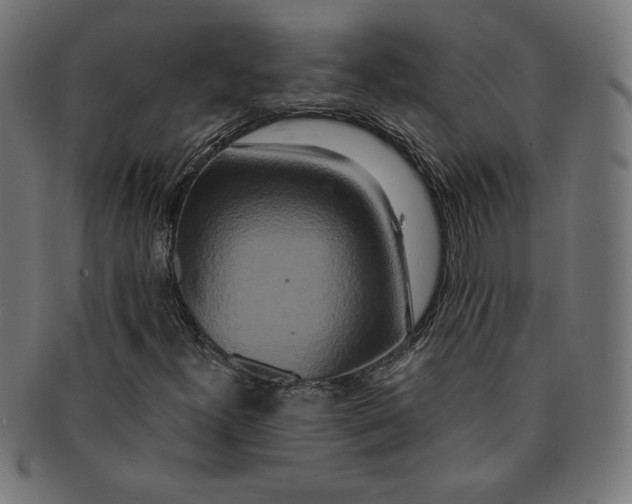 X0000091201300200709061405