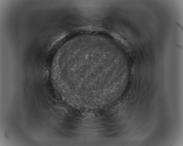 X0000091201302200709061405