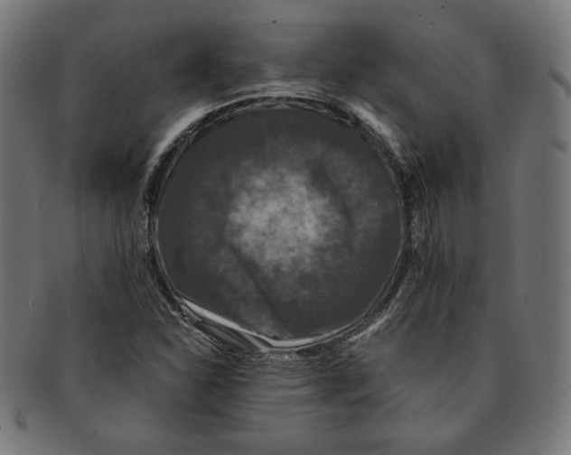 X0000091201310200709061405