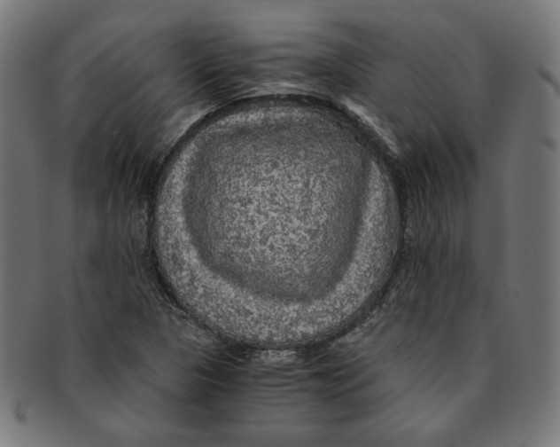 X0000091201313200709061405