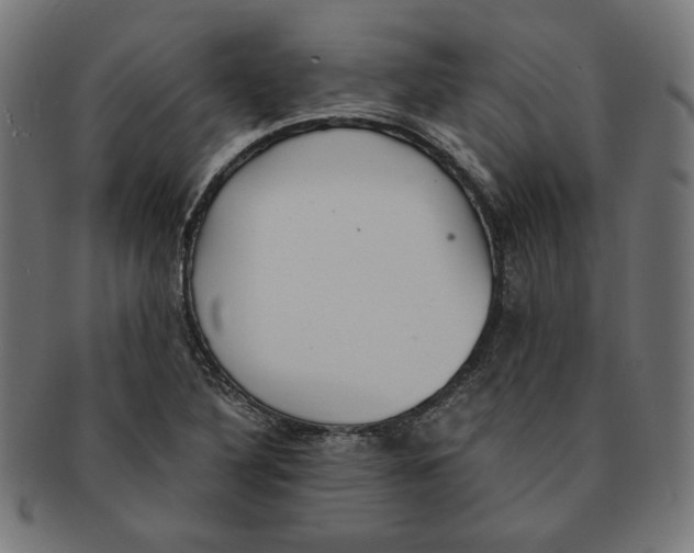 X0000091201316200709061405