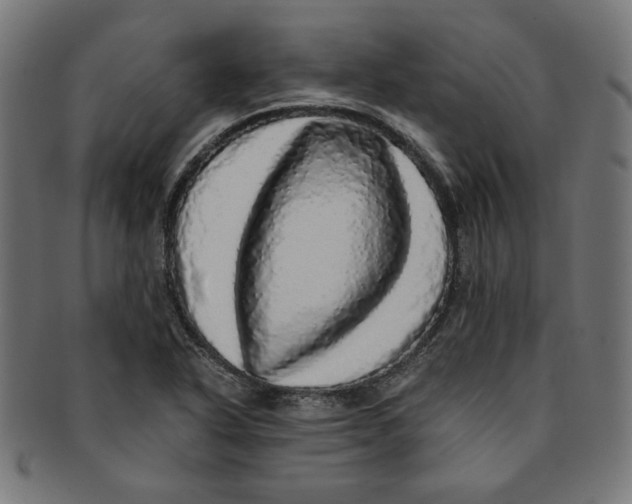X0000091201318200709061405