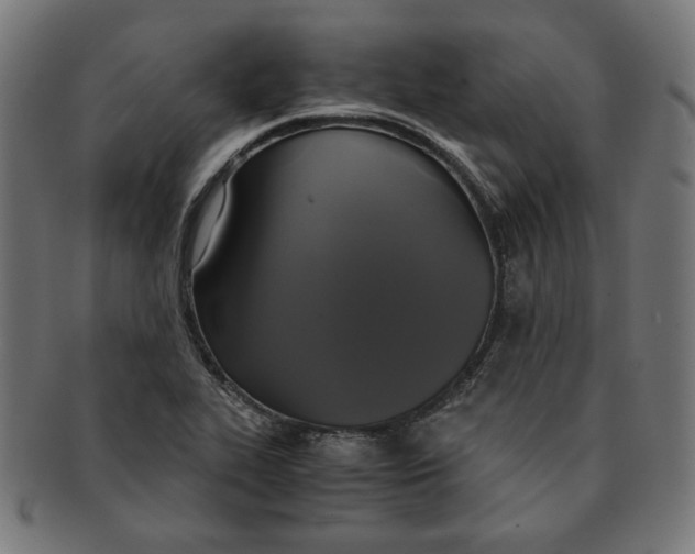 X0000091201319200709061405
