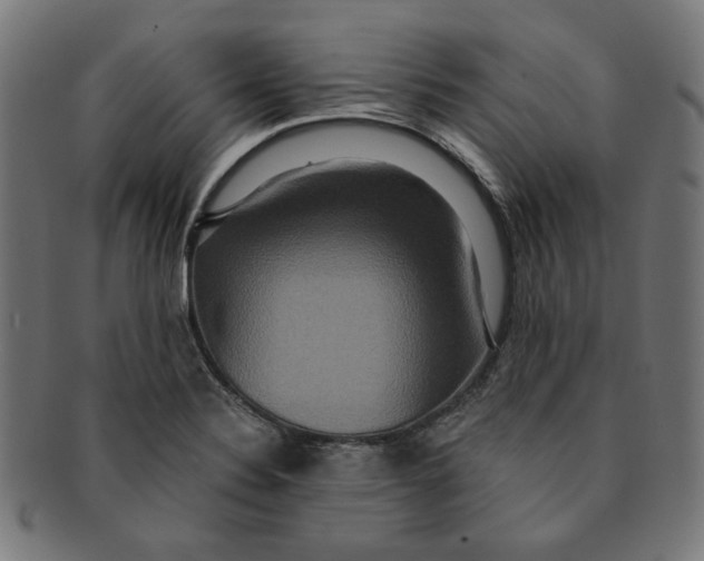 X0000091201324200709061405