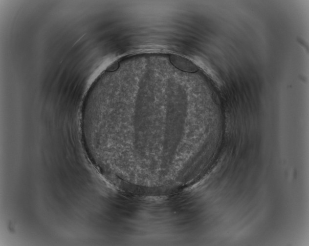 X0000091201325200709061405