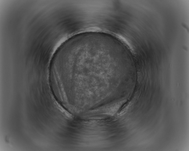 X0000091201326200709061405