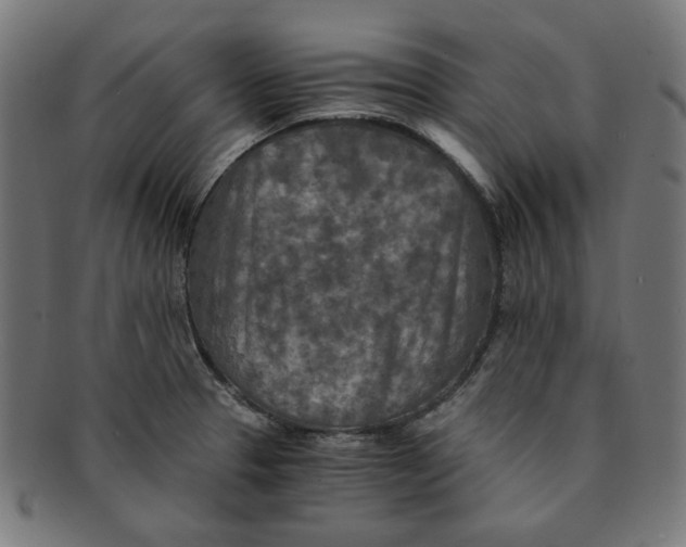 X0000091201329200709061405
