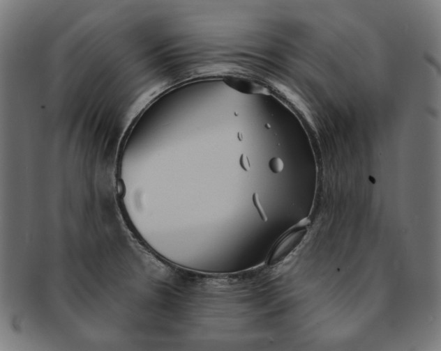X0000091201330200709061405