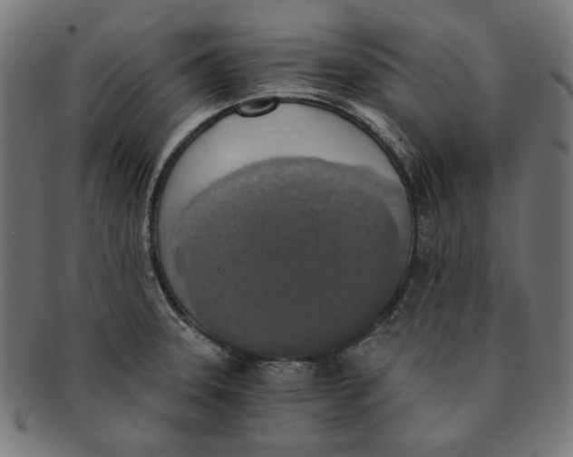 X0000091201331200709061405
