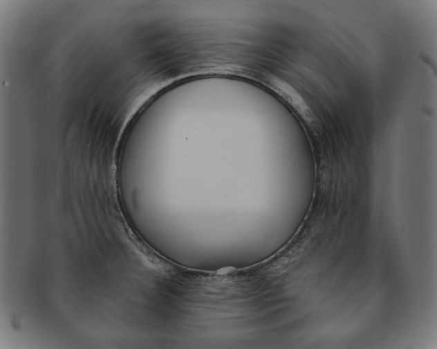 X0000091201332200709061405