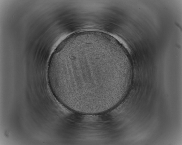 X0000091201333200709061405