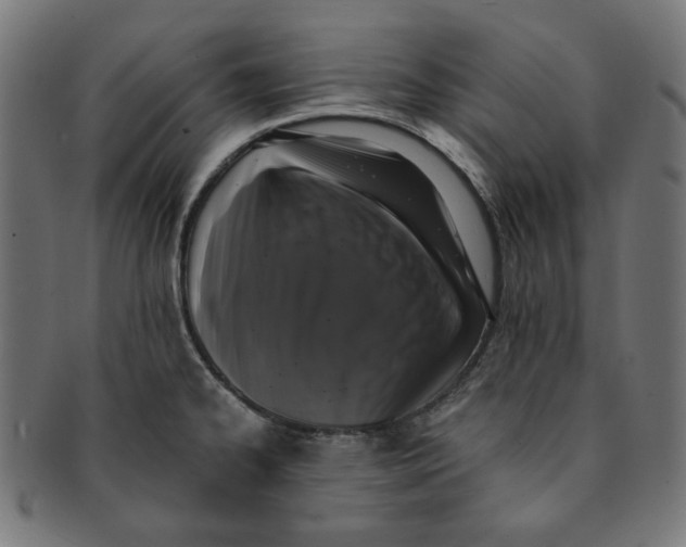 X0000091201334200709061405