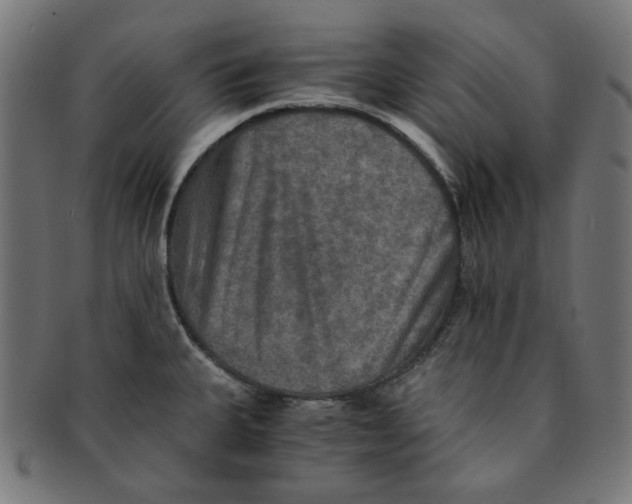 X0000091201335200709061405