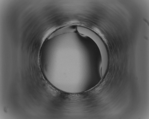 X0000091201336200709061405