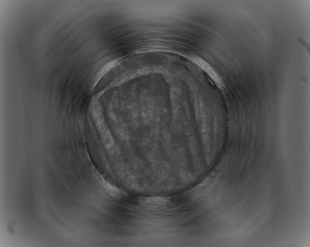 X0000091201337200709061405