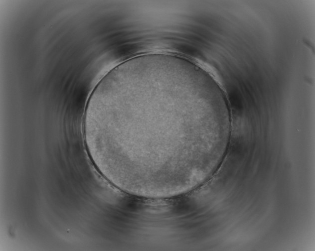 X0000091201338200709061405
