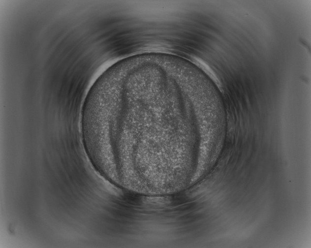 X0000091201339200709061405