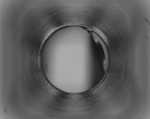 X0000091201340200709061405