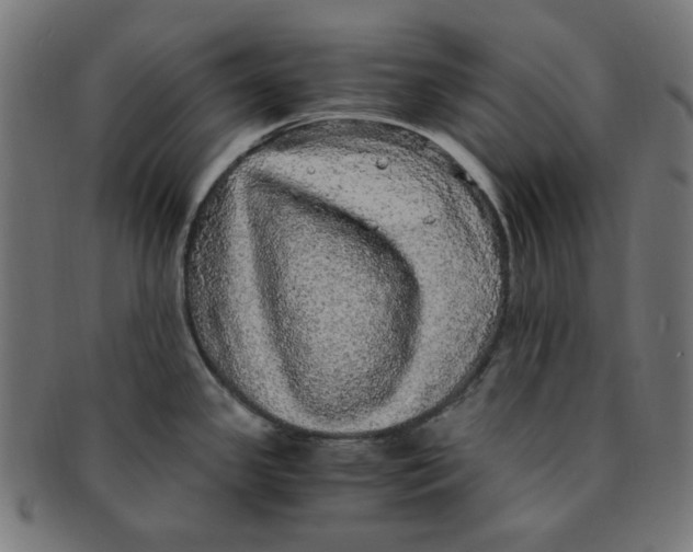 X0000091201341200709061405