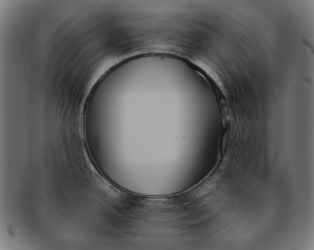 X0000091201342200709061405