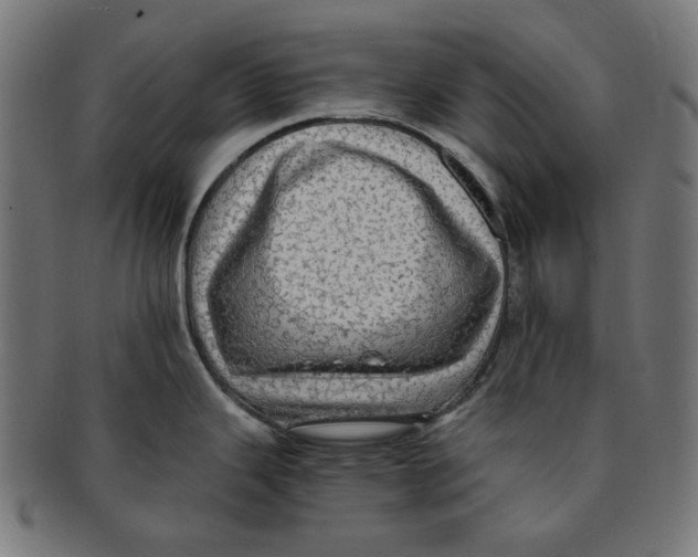 X0000091201343200709061406