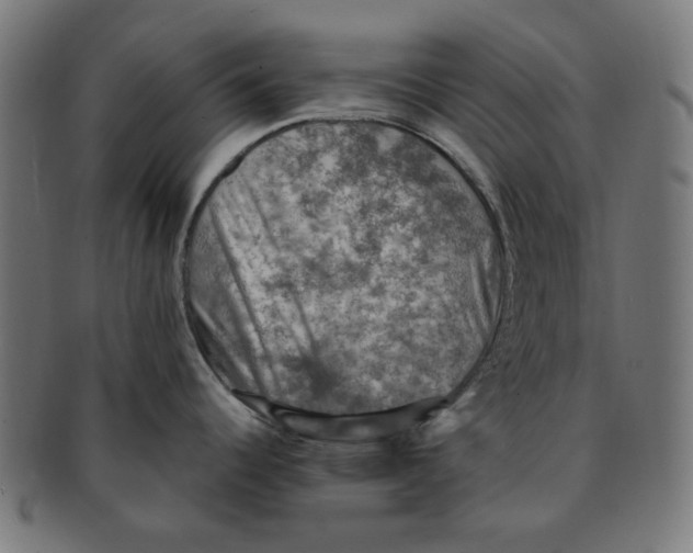 X0000091201344200709061406