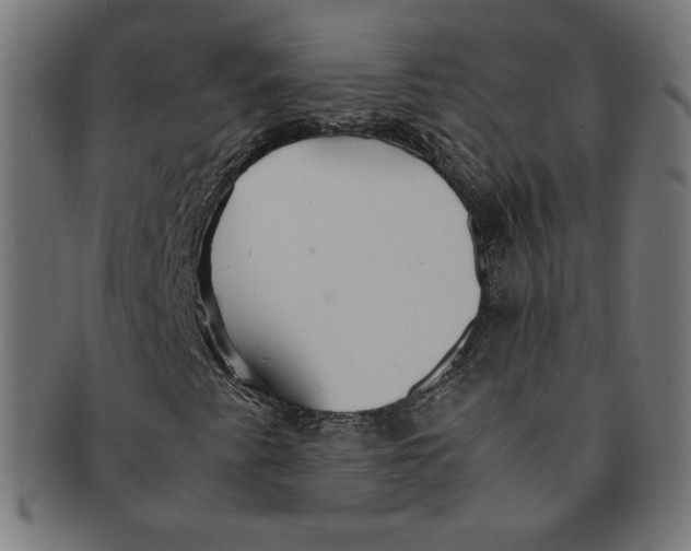 X0000091201345200709061405