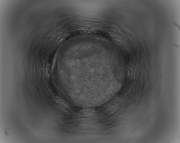X0000091201346200709061405