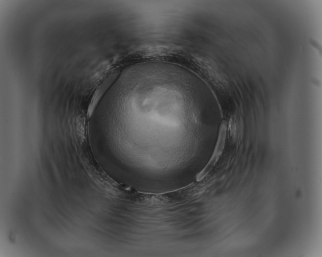 X0000091201348200709061405