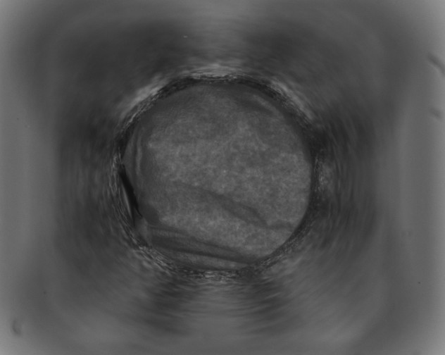 X0000091201350200709061405