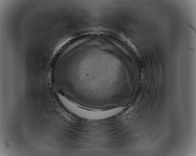 X0000091201352200709061405