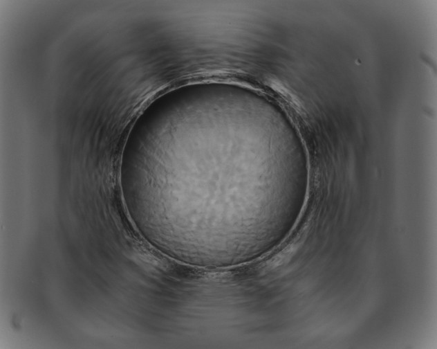 X0000091201353200709061405
