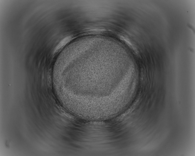 X0000091201354200709061405