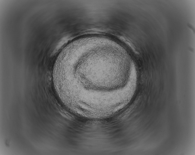 X0000091201355200709061405