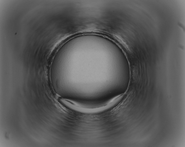 X0000091201356200709061405