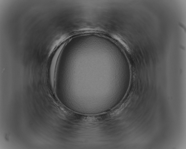 X0000091201357200709061405