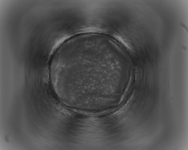 X0000091201358200709061405