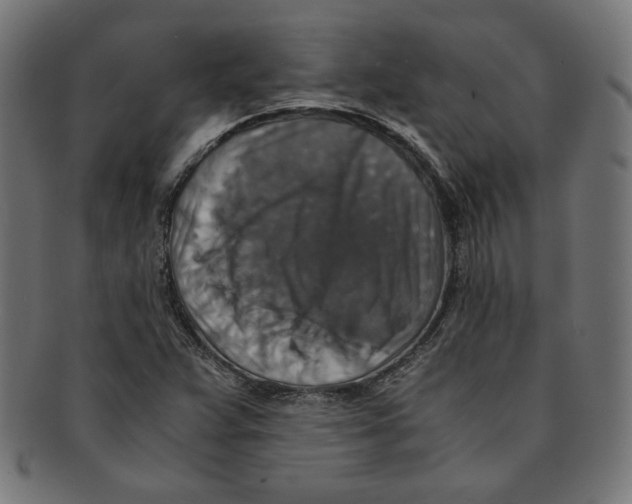 X0000091201359200709061405