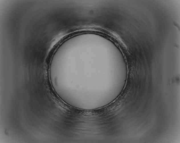 X0000091201360200709061405
