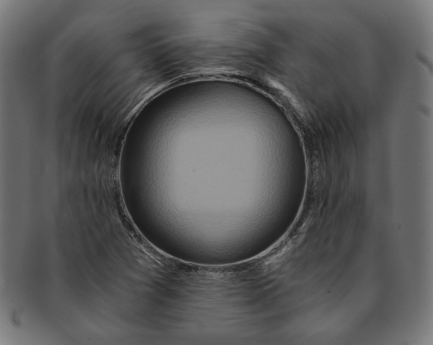 X0000091201361200709061405
