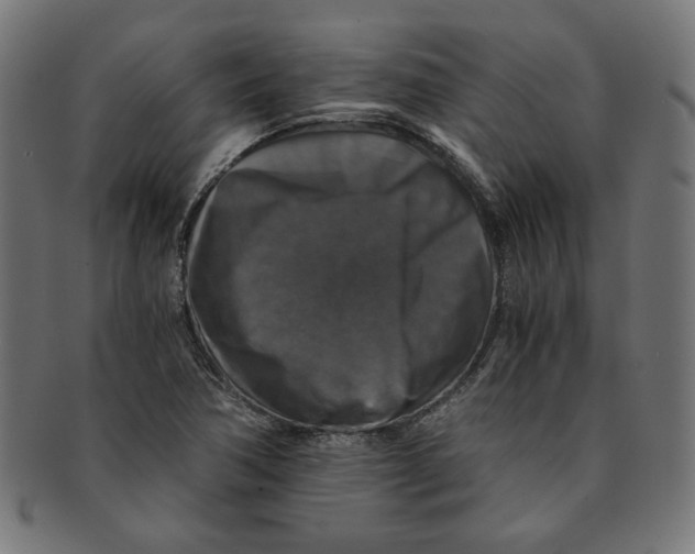 X0000091201362200709061405